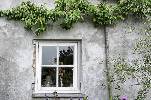 Charcoal Window Frames for Architectural Weight