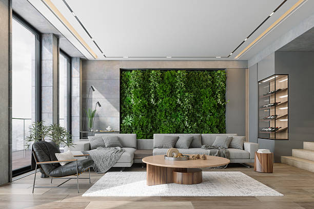 Creating a Living Wall on a Veranda
