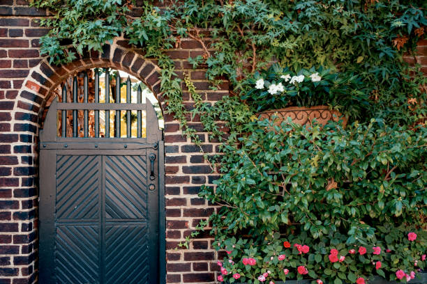 Painted Black Interior Doors as Focal Points