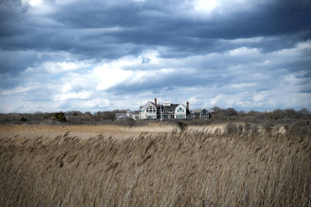 A Room-by-Room Hamptons Color Guide